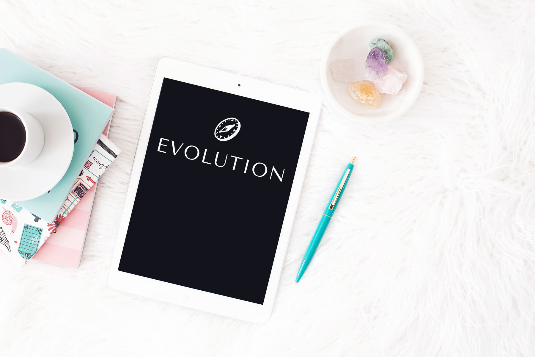Evolution Mastermind Programm| Photo by hautestock.co Evolution Mastermind Programm